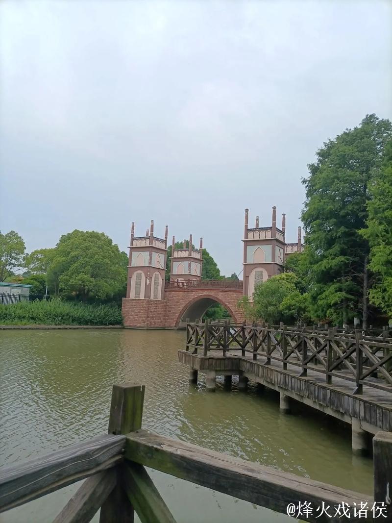 青青草视频网：绿色观影新体验